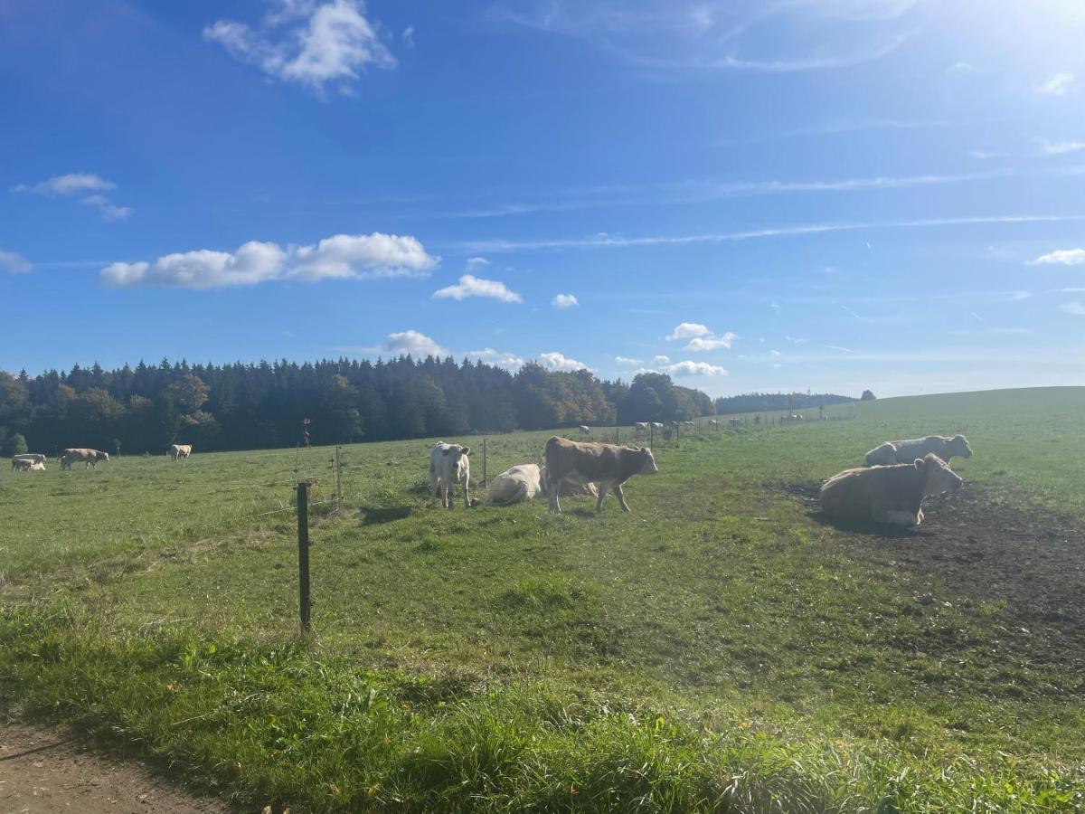 Apartmán Studnice na Vysočině Nove Mesto na Morave Exteriér fotografie